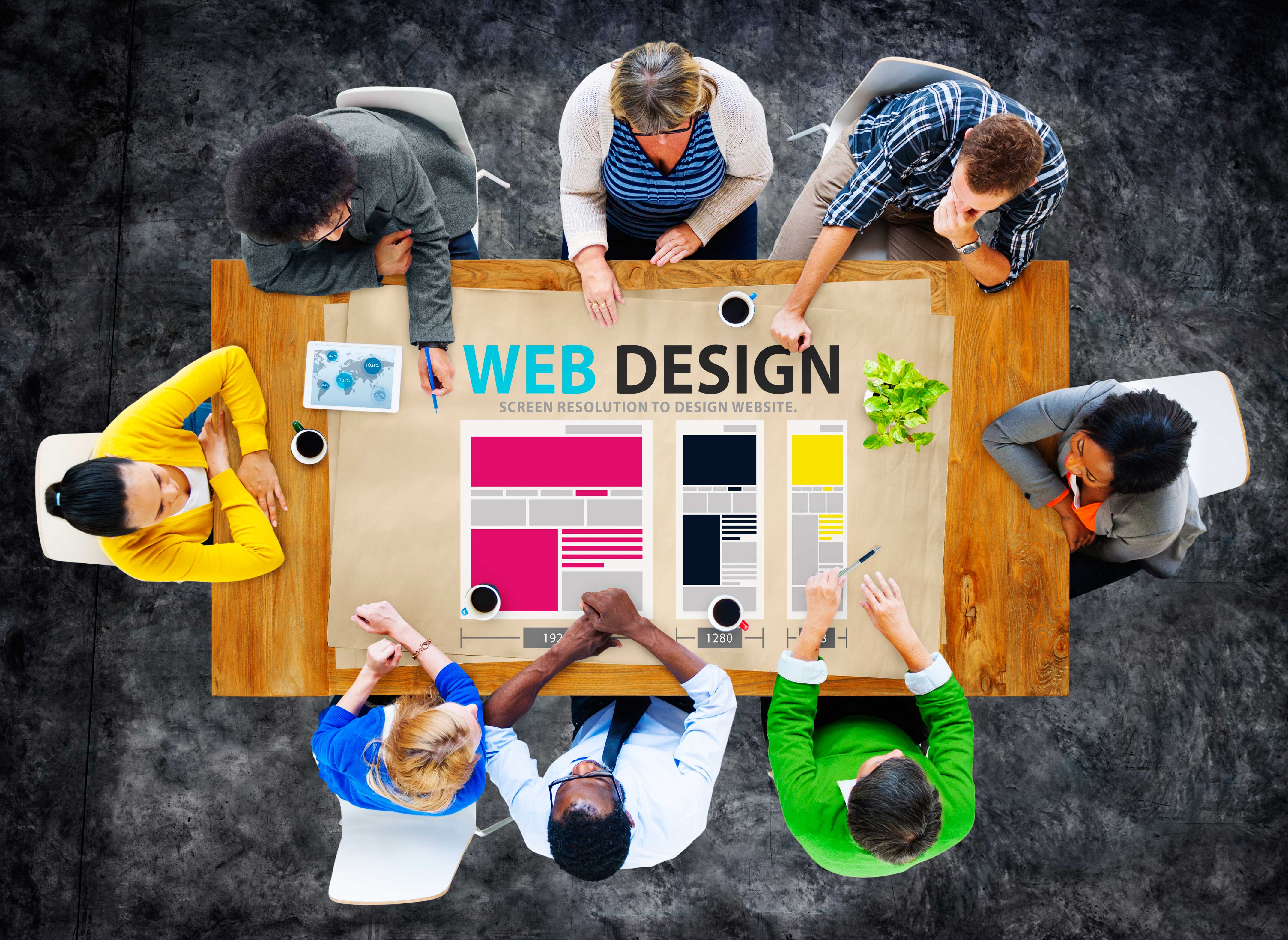 Create Your Own Website, or Start an Agency